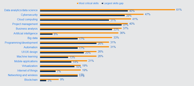 graph of skill demand and supply