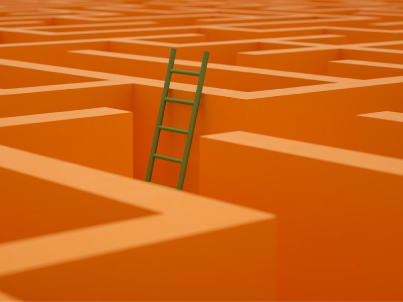 ladder escape from orange maze.