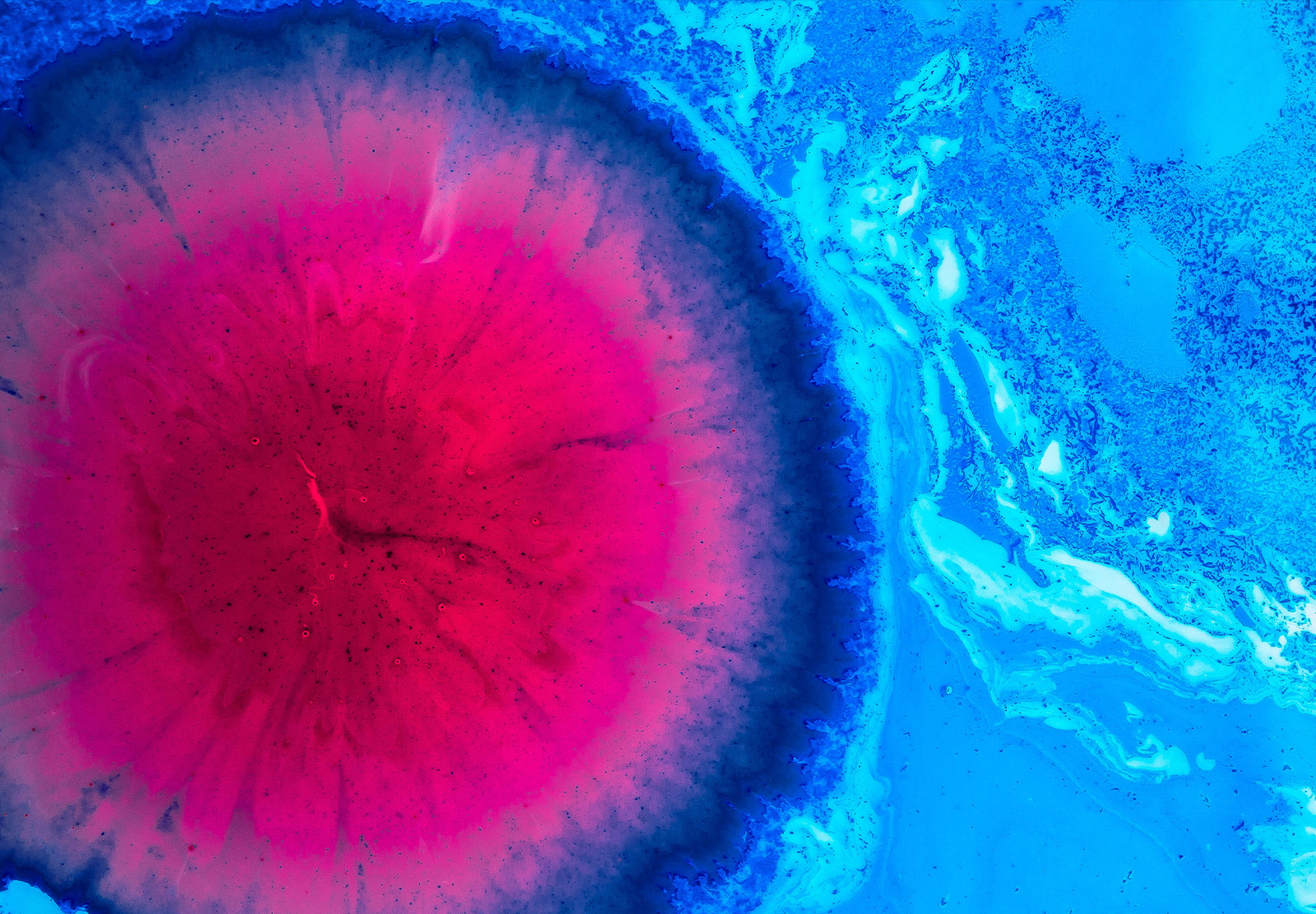 Mineral circle blue background abstract