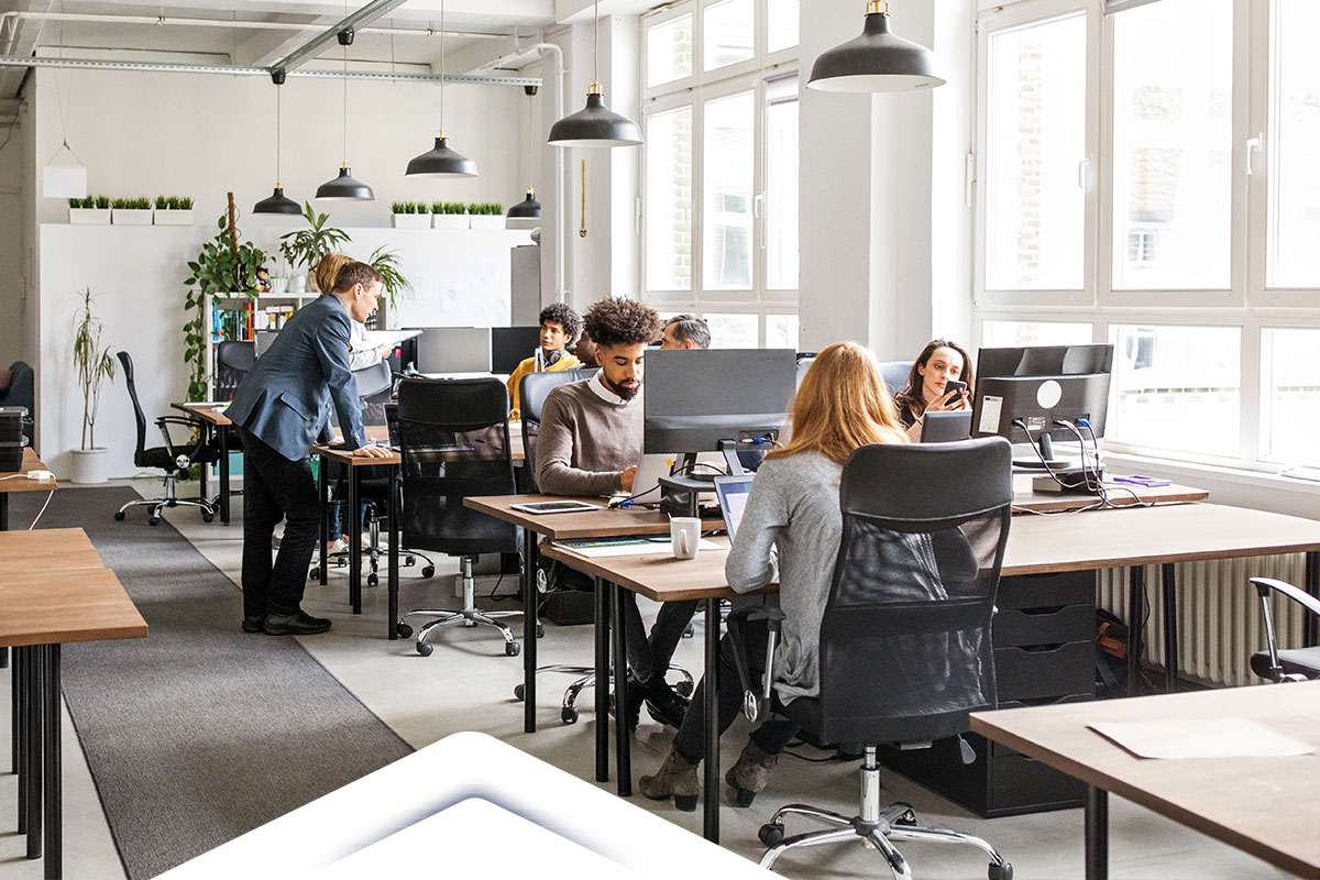 employees working in office