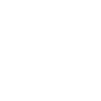 icon depicting government federal division