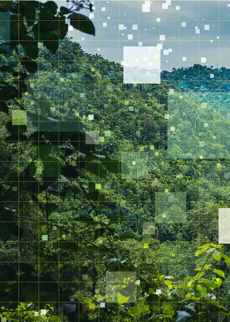 A dense, green forest landscape with lush foliage and trees. Overlaid on the natural scenery is a digital grid pattern with various translucent squares and rectangles, creating a blend of nature and technology.