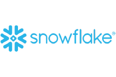 blue snowflake logo