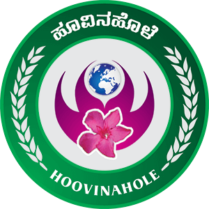 Hoovinahole Foundation