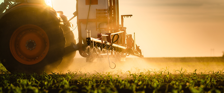 Tractor spraying a field of young crops at sunrise.