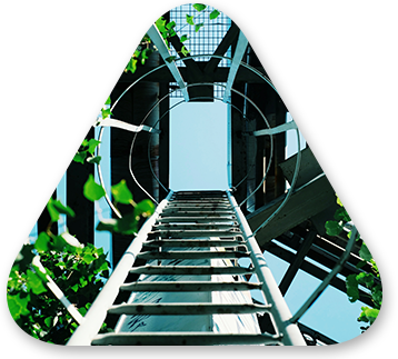 Mapping a Journey Forward: How to Set a Course to Transform the Enterprise