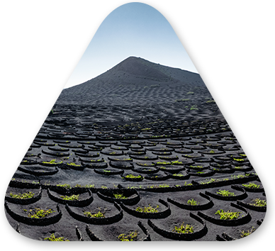 Holistic Digital Transformation Strategy