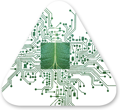 Version Next, Now AI Ecosystem Strategy