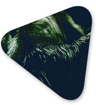 triangle with abstract imagery representing digital transformation