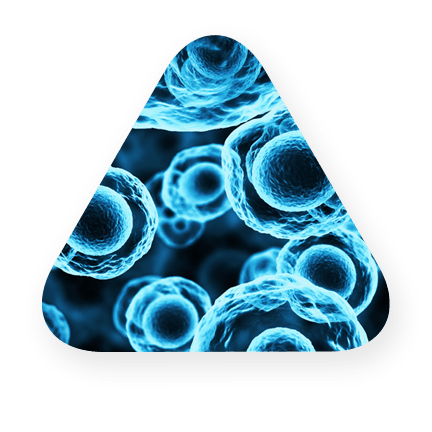 Multiple blue circles