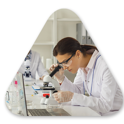 Elevating Data Engineering and Business Intelligence Analytics 