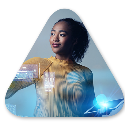 Multi-Year Digital Reform Programme