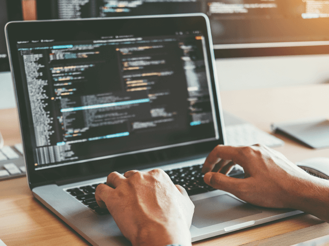 professional reviewing and writing code on laptop. 