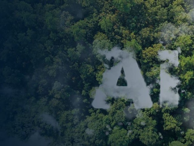 Aerial view of a dense forest ecosystem with misty “AI” lettering above the treetops.