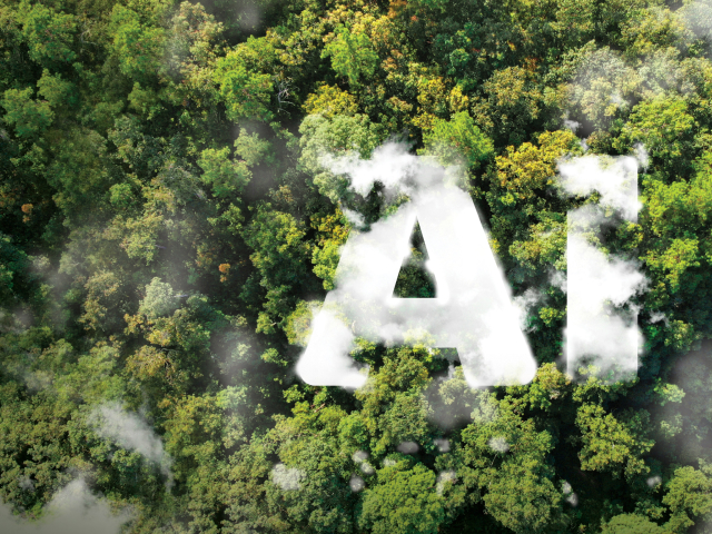 Aerial view of a dense forest ecosystem with misty “AI” lettering above the treetops.