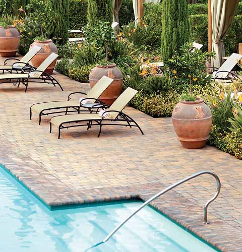 A serene poolside area with lounge chairs, large terracotta pots, and lush greenery.