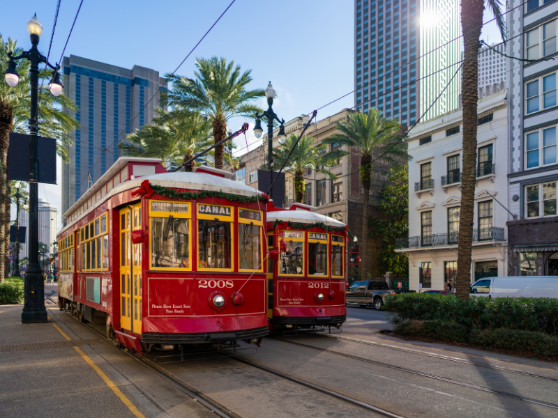 Two red Canal Street streetcars in downtown New Orleans, surrounded by palm trees and tall buildings.