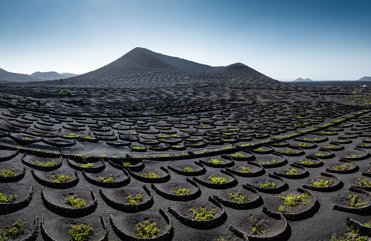 volcanic landscape with a unique agricultural pattern. 