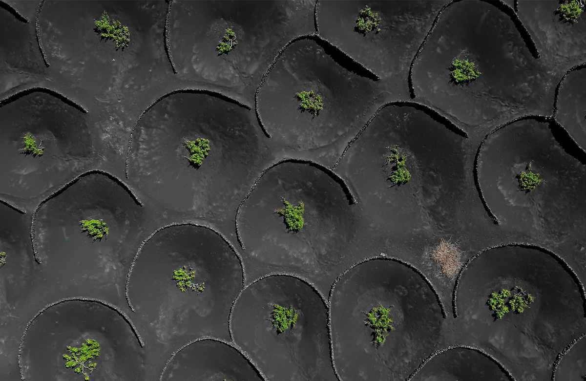aerial view of a volcanic landscape that has been cultivated for agriculture.
