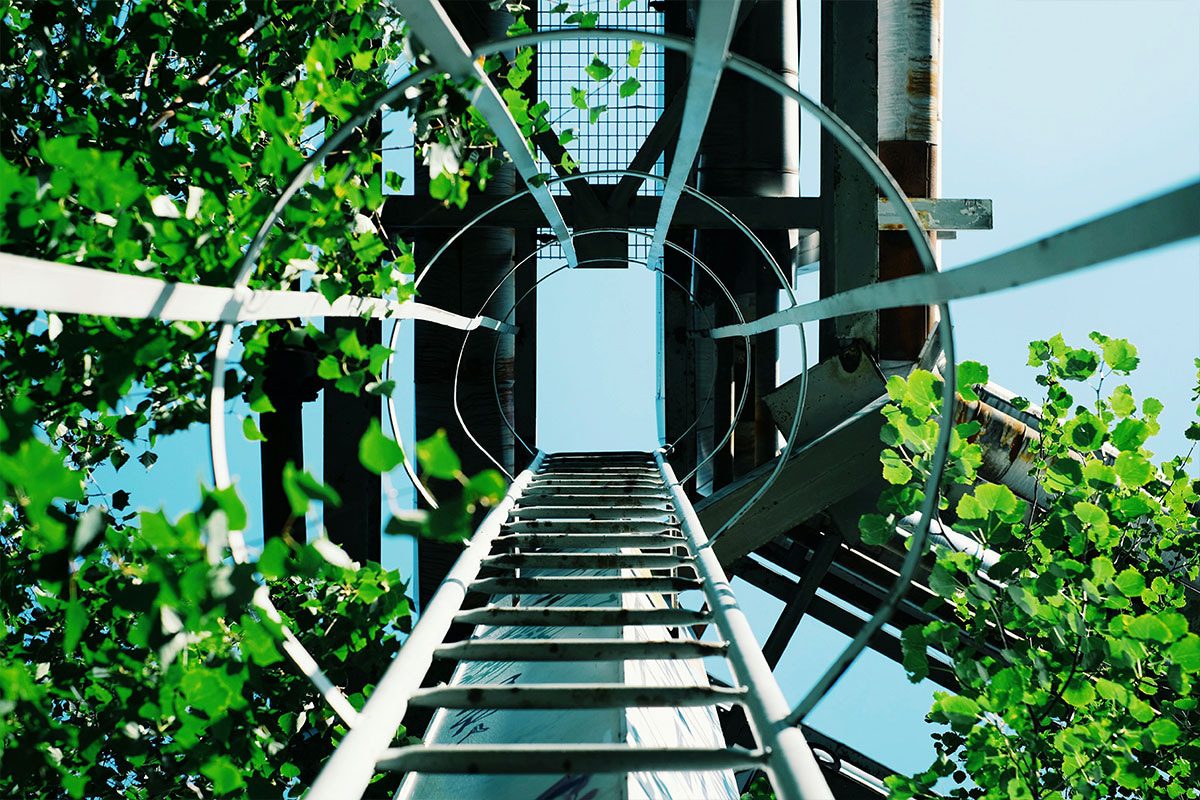 view from below looking up at a outdoor plant tower.