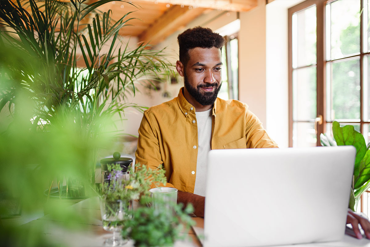 man working at laptop surrounded by plants, sun shining through the windows behind him