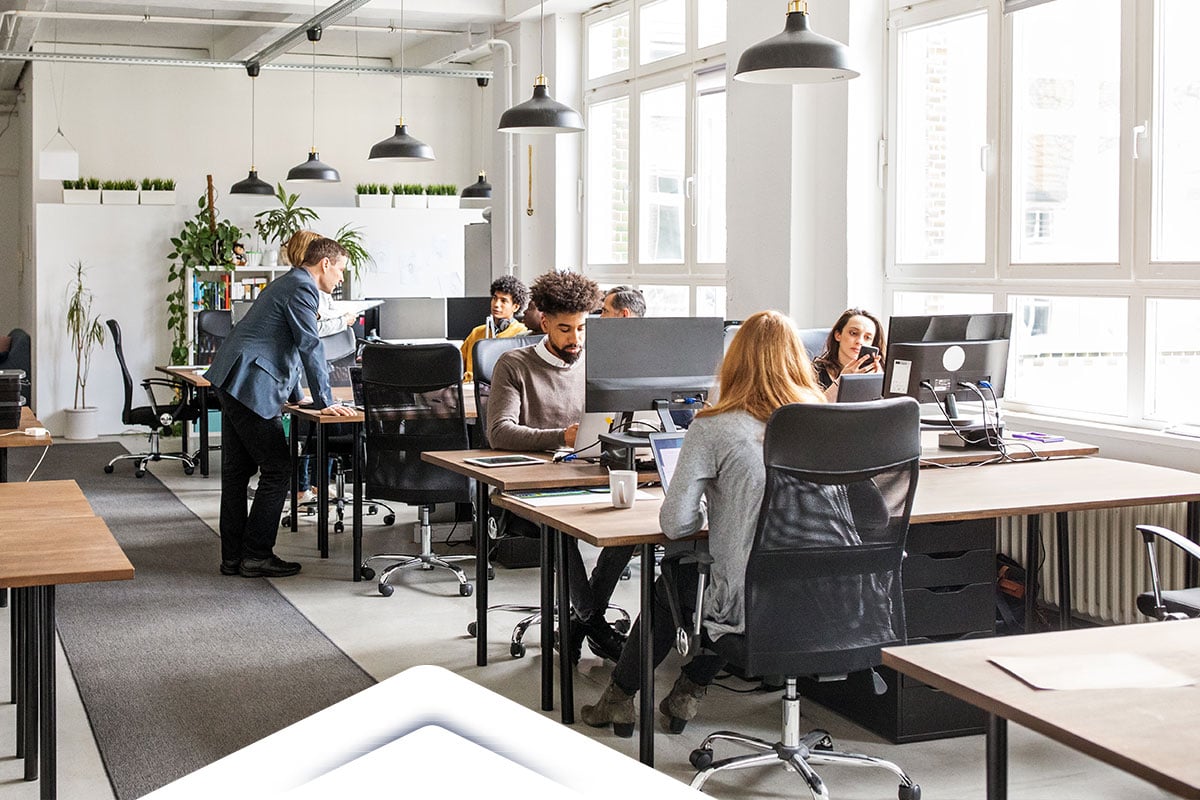 employees working in office