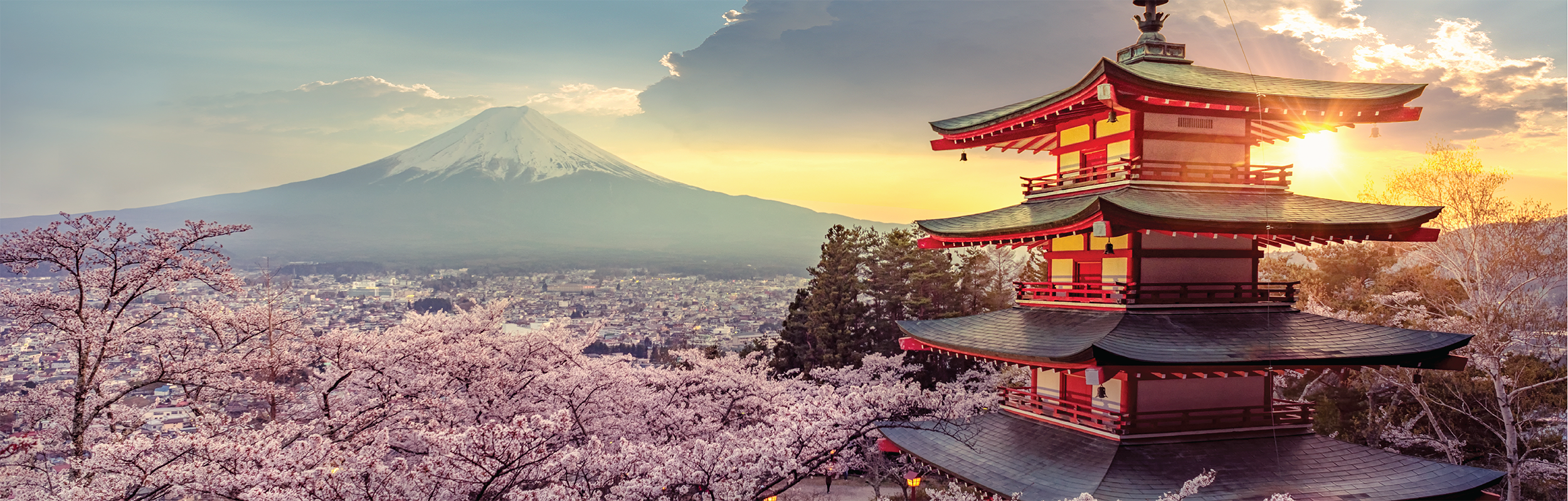 Tokyo Career Fair