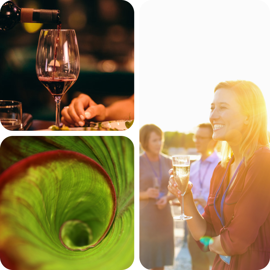 Collage of three images showing a glass of red wine being poured, a close-up of a green plant spiral, and people holding glasses at an outdoor event.