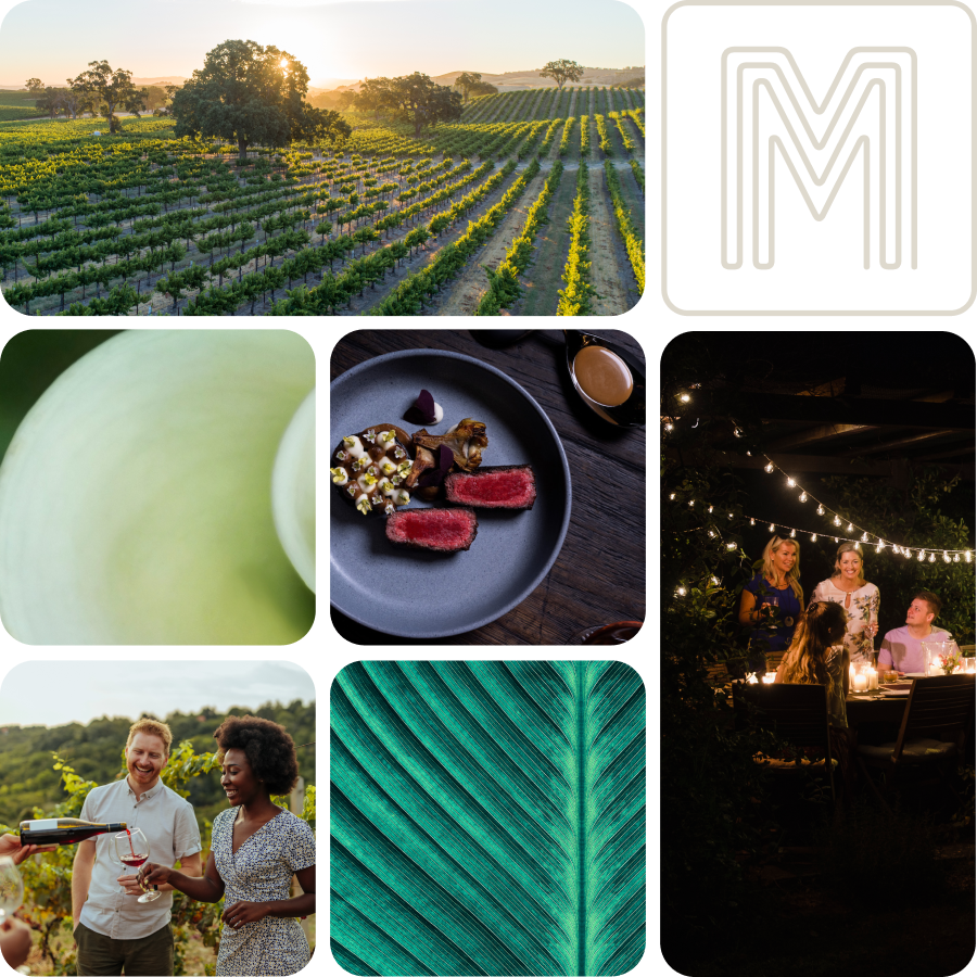 Collage of vineyard, gourmet food, people dining outdoors, and nature elements.
