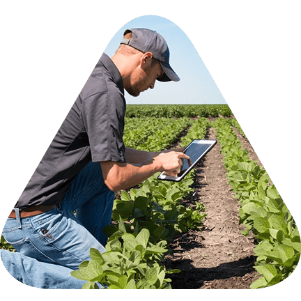 Farm employee reviewing crop data on a mobile tablet while in a crop feild