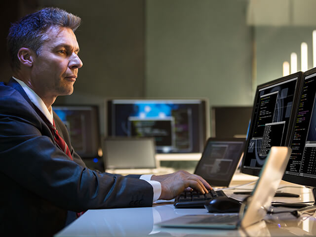 Government member working on a computer