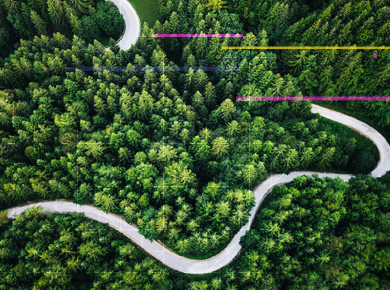 curvy forrest road with digital line overlay