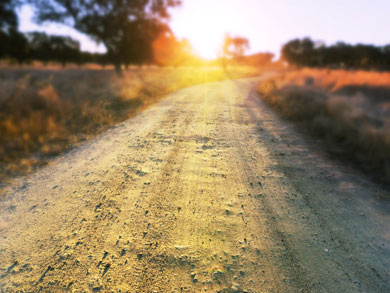 dirt road leads to career path metaphor