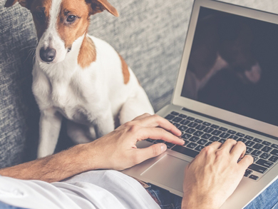 male uses laptop on a couch next to a dog