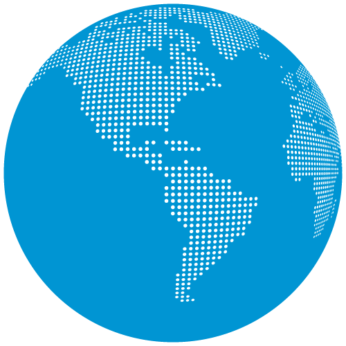 globe icon