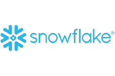 blue snowflake logo