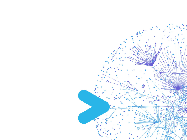 snowflake partner bloom
