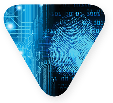Image of a fingerprint, part of a credit card number, and circuitry providing data security